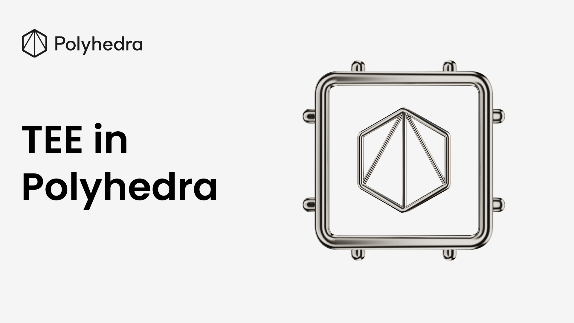 Trusted Execution Environment (TEE) in Polyhedra